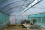 Professional steel framed Galvanised Greenhouse